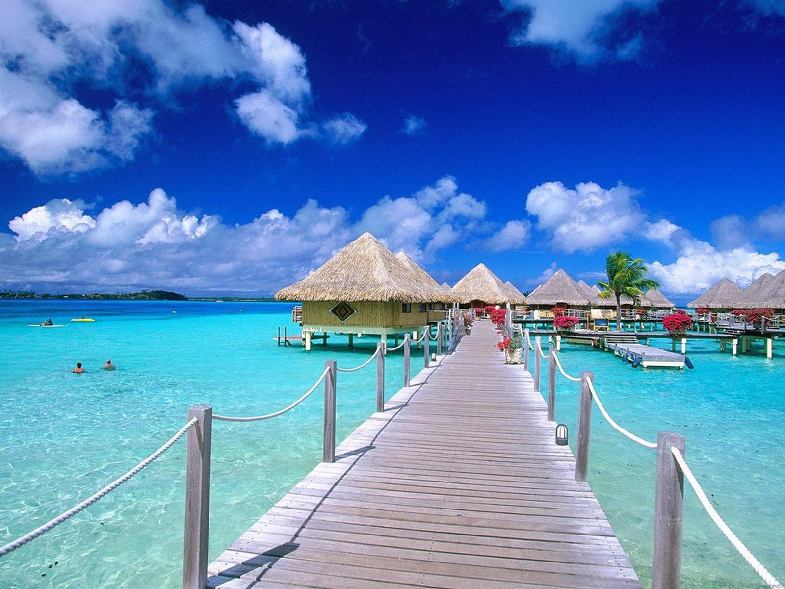 马尔代夫风景图片 清新唯美海景壁纸 - 【可爱点】