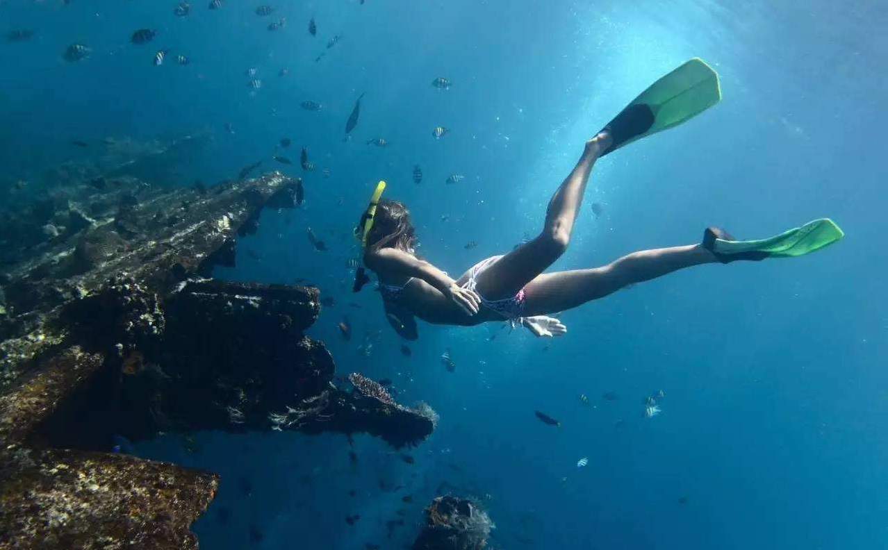 巴厘岛潜水面罩水下视频|摄影|产品摄影|hbchenove - 原创作品 - 站酷 (ZCOOL)