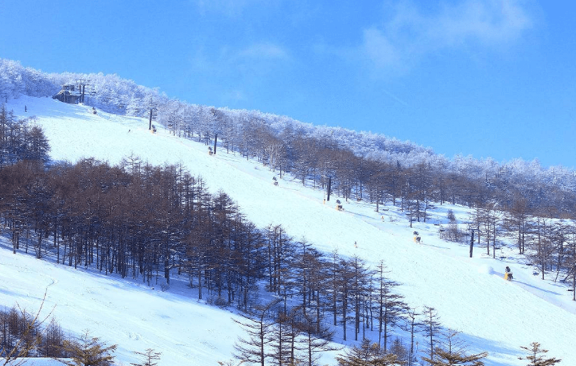 山形县藏王温泉滑雪场