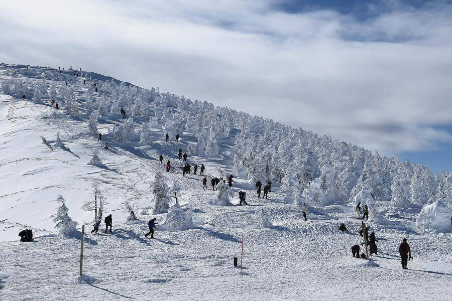 新雪谷（二世谷）滑雪场