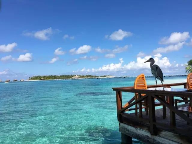 去海岛玩一玩,终于闲暇下来,可以给大家分享普吉岛的一些美好小岛屿了