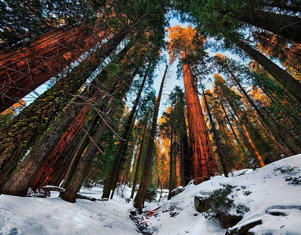 美国国家森林公园排名图片
